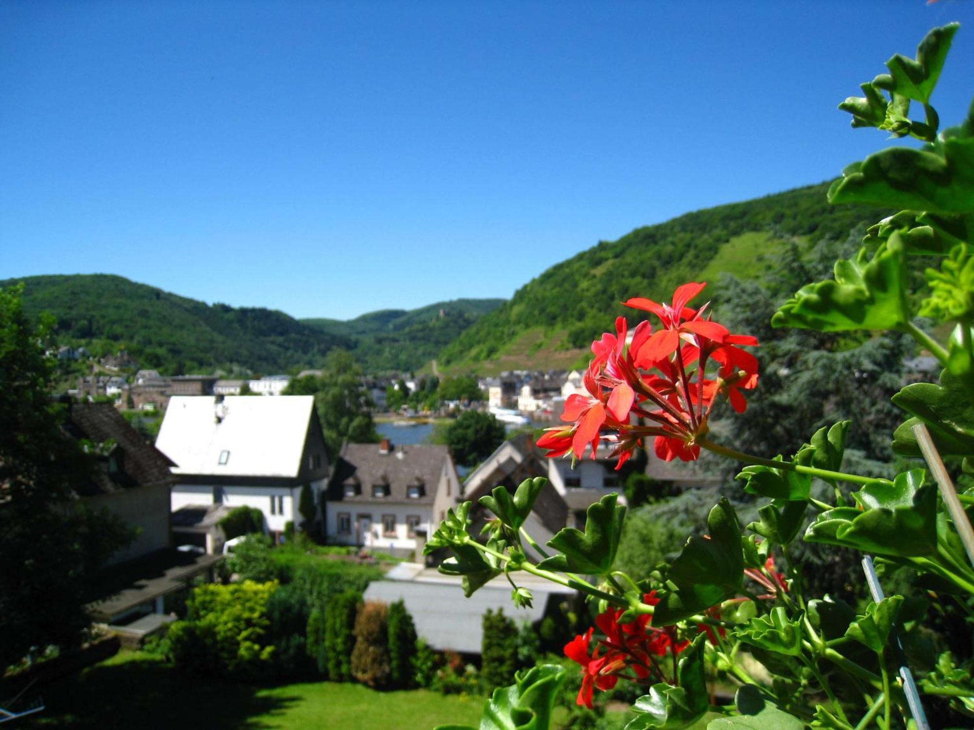 Ferienwohnung Burgblick 불라이 외부 사진